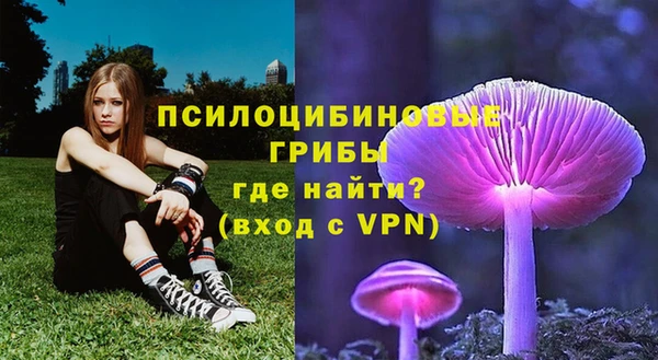 эйфоретик Алзамай
