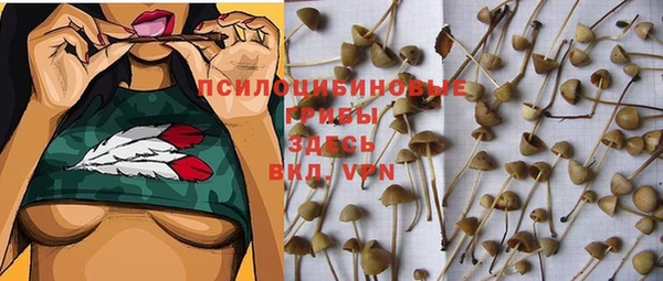 мяу мяу мука Абдулино