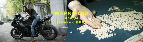 эйфоретик Алзамай
