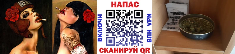 дарк нет наркотические препараты Задонск Бошки Шишки OG Kush